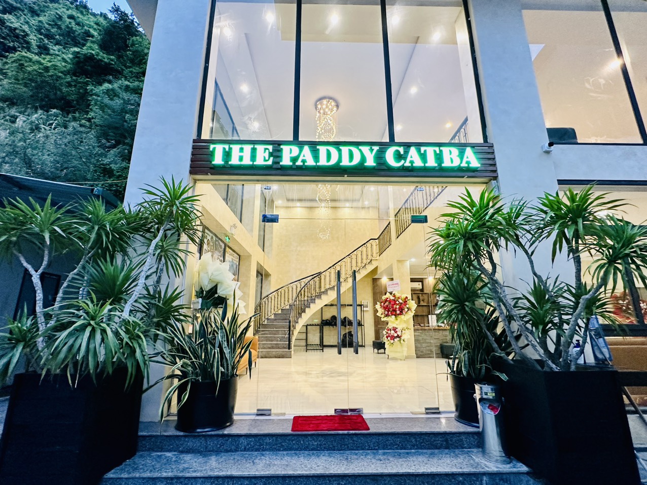 The Paddy Catba